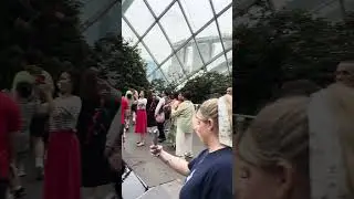 Singapore Could Forest