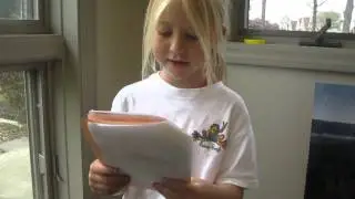 Reese Volcano Project