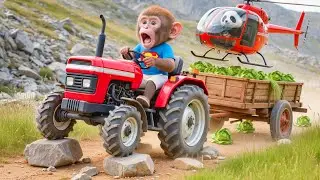 🐒💨🌱 Monkey MiLo&rsquo;s Harvest Turns Risky, Panda Flies in with Helicopter Rescue! 🐼🚁 | COCO MONKEY LIFE