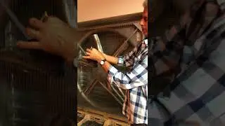 Le Ragose, Appassimento method, harvest2019