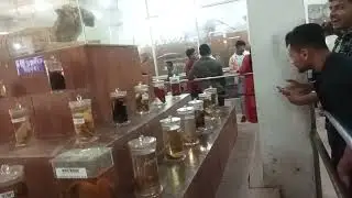 #zoolab