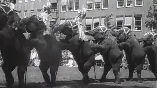 1955: Circus Althoff in het Wilhelmina Gasthuis te Amsterdam - oude filmbeelden