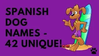 Spanish Dog Names -  42 UNIQUE & BEST | Names