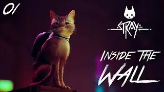 Stray Gameplay Chapter 1 Inside The Wall