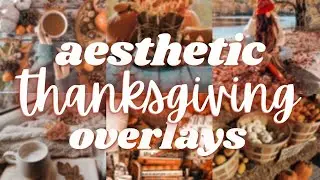 trendy, aesthetic thanksgiving/fall overlays + titles // Procreate green screen overlays