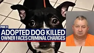 Man accused of killing newly adopted dog