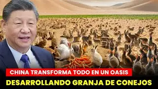 Shocking! China Is Breeding 1.2 Million Rabbits in the Desert to Make It Bloom as an Oasis by 2025