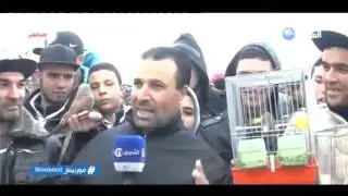 تربية العصافير والكلاب دريد الشروق