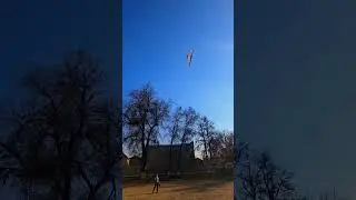 F2D бойцовка цстекам 2.5к