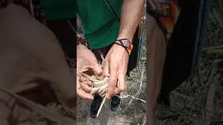 yesca para Fuego Primitivo