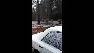 FIRST SNOWFALL THIS YEAR FOR US IN ALABAMA:  December 8, 2017!