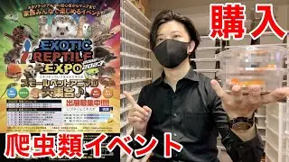 2ヶ月ぶりの爬虫類イベントで変わったラインの生体を購入！