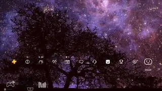 4K Night Sky, Dark Tree - Dynamic Theme