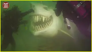 20 Incredible Moments At Sea - The Sea Can Be A SCARY Place!