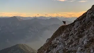 &Uuml;berschreitung Geierk&ouml;pfe