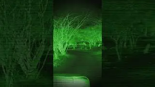 Jungle Night Drive #deathroute