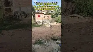 em breve terá para vocês