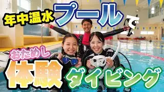 温水プールで快適【体験ダイビング】！東京から１時間、日帰りで気軽に試せる自分のダイビング適正！【ダイビング】
