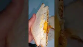 #sandwich #egg#fryegg #eggsandwich #food #fypage #cooking #short #shortvideo