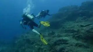Wall Dive Site | Havelock Island | Andamans