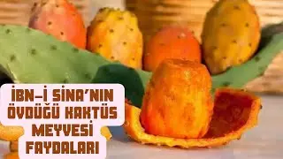 DİKENLİ İNCİRİN FAYDALARI NELERDİR | KAKTÜS MEYVESİNİN FAYDALARI | DİKENLİ İNCİR NASIL YENİR