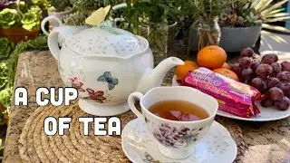 Plant Propagation in Water /Tea Time in the Garden