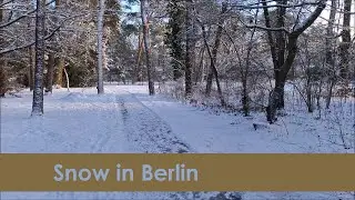 Snow in Berlin, January 2026