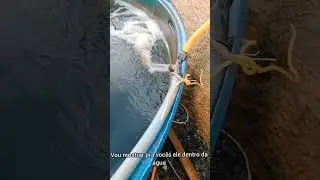 Oxigenador feito com torneira de jardim ! #aquaponia #oxigenador