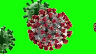 Virus Animation Green Screen Clips Royalty Free