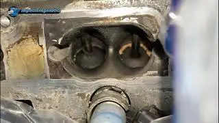 Welzh Werkzeug Carbon crusher walnut blaster from Impact Diagnostics