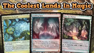 MTG Expeditions Explained + CHEAP Expeditions To Pickup!