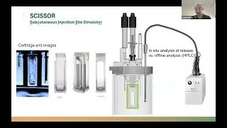 SCISSOR N3: Conserving Enzymatic Activity for Prodrug Studies