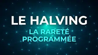 Comprendre le Halving 