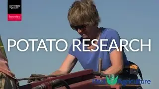 Potato Research Program at the University of Guelph