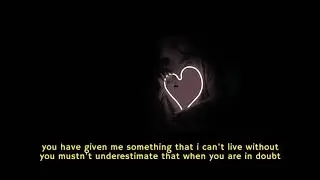 Adele - Love in the Dark (Allie Sherlock Cover) [Lyric]