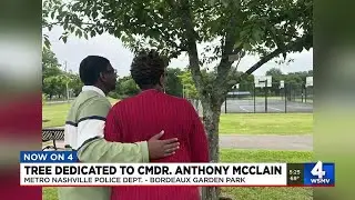 Tree dedicated to Commander Anthony McClain