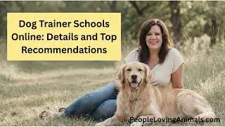 Dog Trainer Schools Online: Details and Top Recommendations
