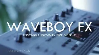 Waveboy Ensoniq EPS 16+ External Audio Time Dicer FX