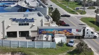 Marineland receives 4 dolphins from the now-closed Gulf World in Florida's panhandle