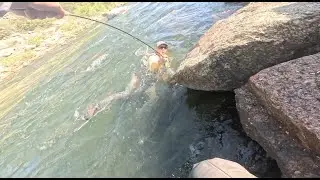Browns Canyon Trout Fishing - Colorado