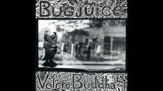 John Peel's Bugjuice - Just Came Out That Way