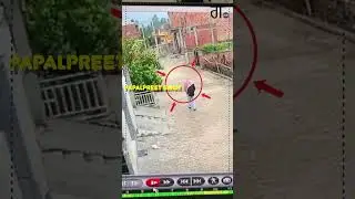 NEW CCTV VIDEO FOOTAGE OF AMRITPAL SINGH AND PAPALPREET SINGH IN HARYANA PUBLIC BY THE PUNJABPOLICE