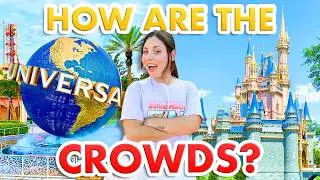 Universal VS Disney World -- How Are The Crowds?