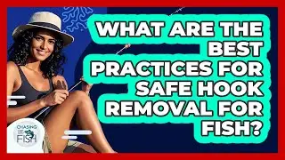 What Are The Best Practices For Safe Hook Removal For Fish? - Chasing Big Fish