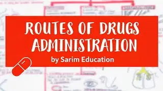 Various Routes Of Drug Administration 