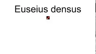 Euseius Densus