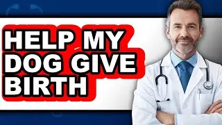 How to Help My Dog Give Birth - Full Guide