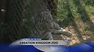 Mark on the Road - Kingdom Creation Zoo