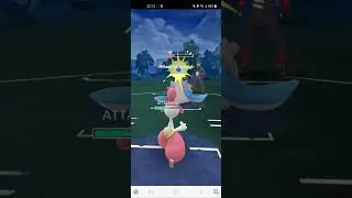 Scroll cup 5-0 sweep with Shadow Walrein, Rank1 Medicham and Shadow Drapion
