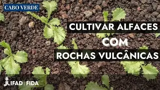 Cabo Verde: quando a escassez de água impulsiona a inovação